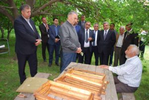Изображение 214